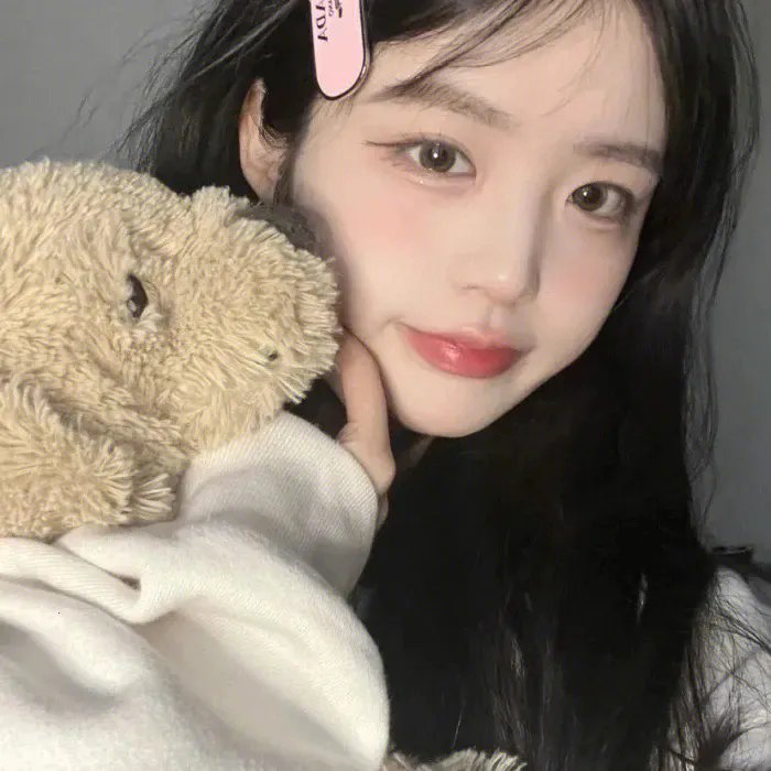 金鹰宝藏